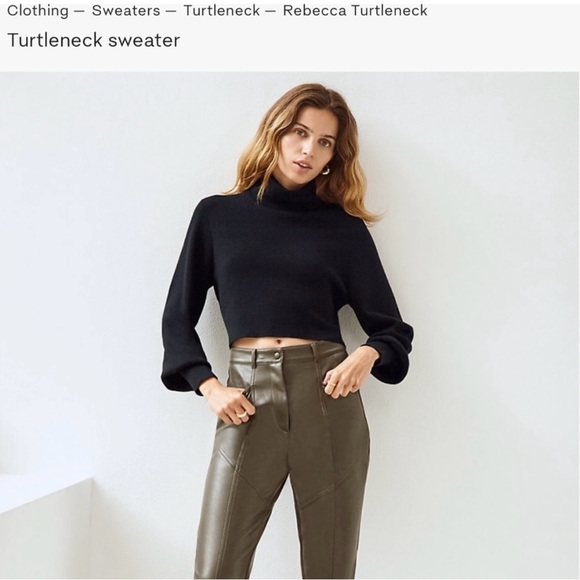 Aritzia Rebecca Cropped Turtleneck Sweater - Picture 2 of 6